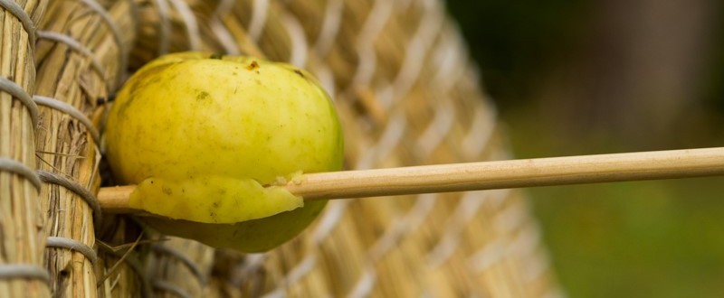 Zielscheibe mit Apfel, der von einem Pfeil durchbohrt wird